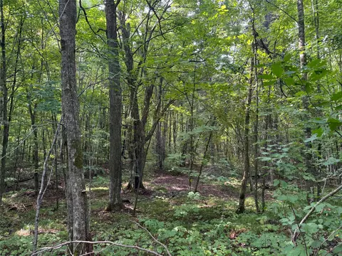 40 Acres On Fr 1769, Cable, WI 54821 photo 45