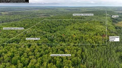 40 Acres On Fr 1769, Cable, WI 54821 photo 5