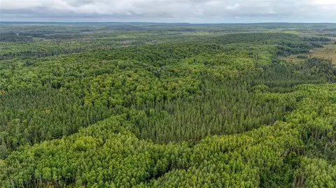 40 Acres On Fr 1769, Cable, WI 54821 photo 20