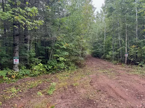 40 Acres On Fr 1769, Cable, WI 54821 photo 4