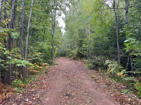 40 Acres On Fr 1769, Cable, WI 54821 photo 51