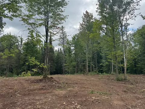 40 Acres On Fr 1769, Cable, WI 54821 photo 6