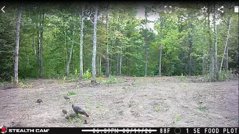 40 Acres On Fr 1769, Cable, WI 54821 photo 22