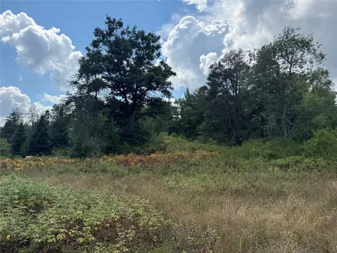 900 County Rd A, Tomahawk, WI 54487 photo 21