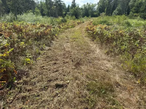 900 County Rd A, Tomahawk, WI 54487 photo 22