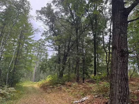 900 County Rd A, Tomahawk, WI 54487 photo 37