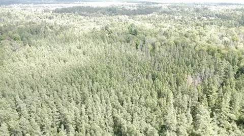 900 County Rd A, Tomahawk, WI 54487 photo 53