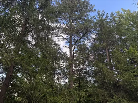 900 County Rd A, Tomahawk, WI 54487 photo 34