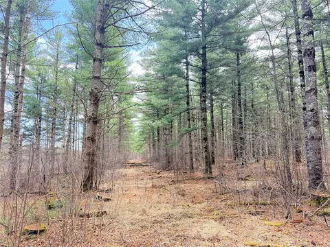 0 Star Lake Rd, Rice Lake, WI 54868