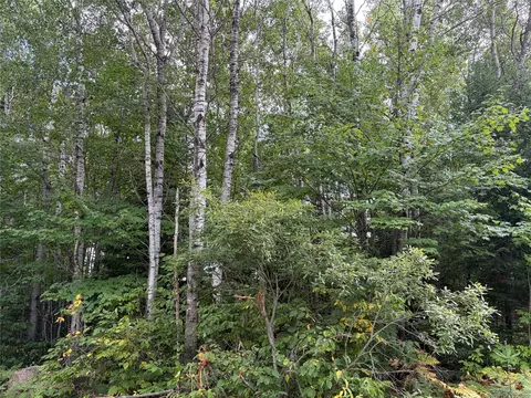 On Schwilk Road, Glidden, WI 54527 photo 3