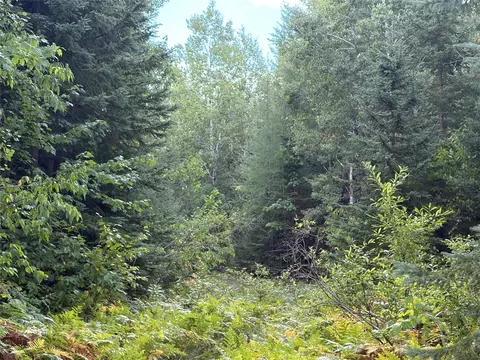 On Schwilk Road, Glidden, WI 54527 photo 5