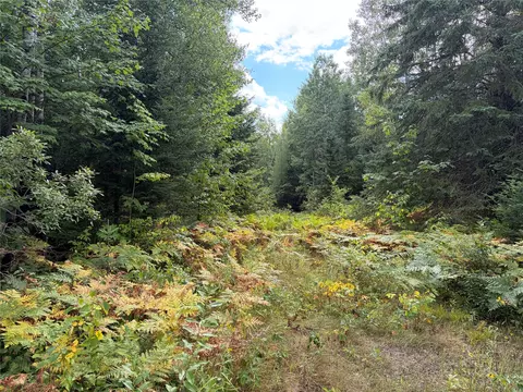 On Schwilk Road, Glidden, WI 54527 photo 2