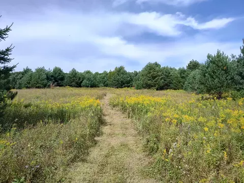 lot2 211th St, Centuria, WI 54824