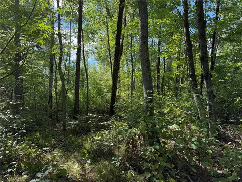 0 Shell Creek Rd, Minong, WI 54859