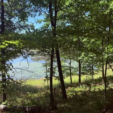 tbd W Lilja Ave, Shell Lake, WI 54871 photo 6