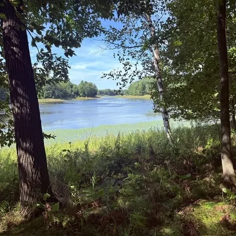 tbd W Lilja Ave, Shell Lake, WI 54871 photo 4