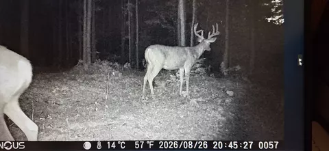 20 Acres 210th Ave, Cornell, WI 54732 photo 12