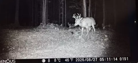 20 Acres 210th Ave, Cornell, WI 54732 photo 9