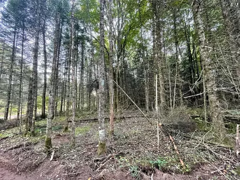 lot3 Fadness Rd, Winter, WI 54896 photo 17