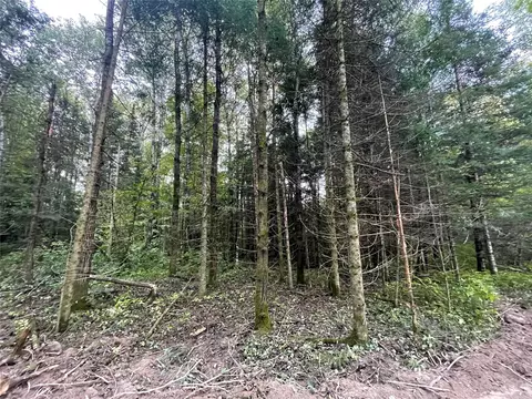 lot3 Fadness Rd, Winter, WI 54896 photo 15