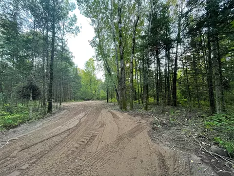 lot3 Fadness Rd, Winter, WI 54896 photo 4