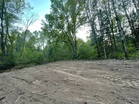 lot3 Fadness Rd, Winter, WI 54896 photo 10