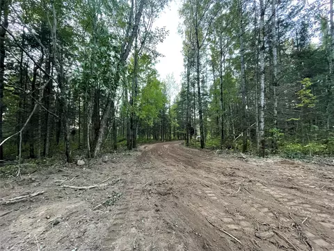 lot3 Fadness Rd, Winter, WI 54896 photo 11