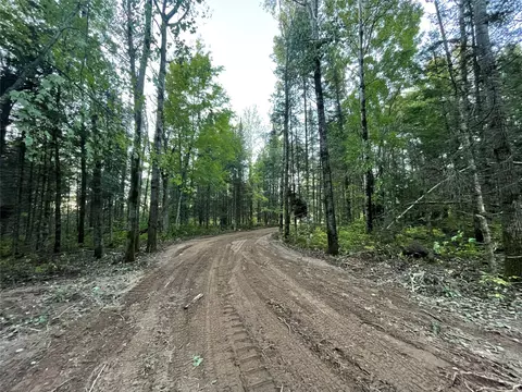 lot3 Fadness Rd, Winter, WI 54896 photo 14