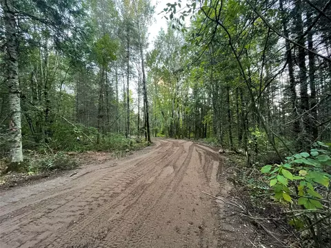 lot3 Fadness Rd, Winter, WI 54896 photo 2