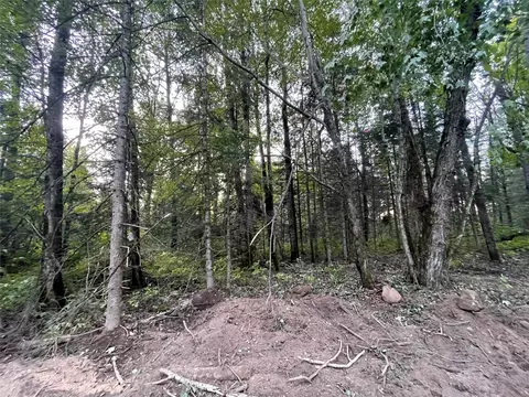 lot3 Fadness Rd, Winter, WI 54896 photo 16