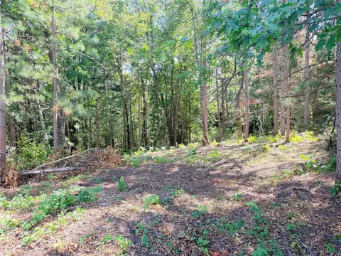 lot3 Boat Landing Rd, Ladysmith, WI 54848