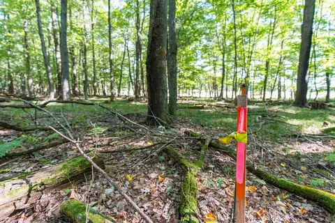 lot5 815th Ave, Menomonie, WI 54751