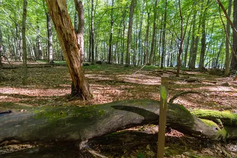lot7 815th Ave, Menomonie, WI 54751