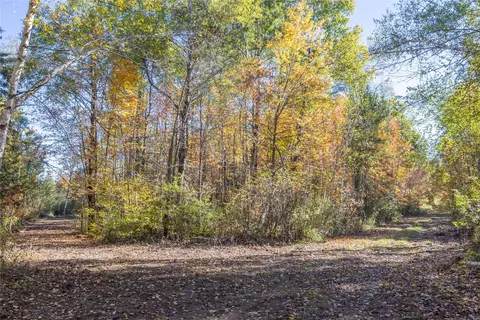 5 Acres Aggie Ln, Ladysmith, WI 54848