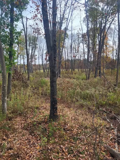 w7943 Snyder Lane, Neillsville, WI 54456