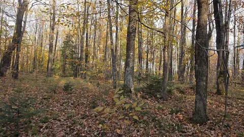 w2675 Forestview Lane, Phillips, WI 54555 photo 5