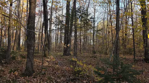 w2675 Forestview Lane, Phillips, WI 54555 photo 9
