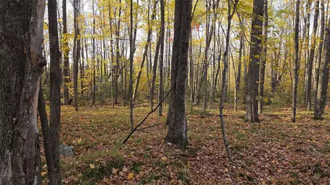 w2675 Forestview Lane, Phillips, WI 54555 photo 3