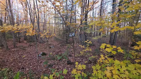 w2675 Forestview Lane, Phillips, WI 54555 photo 6