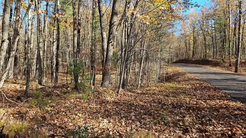 lot1 Goss Rd, Hayward, WI 54843