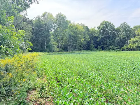 10 Acres Lot 4 230th St, Saint Croix Falls, WI 54024