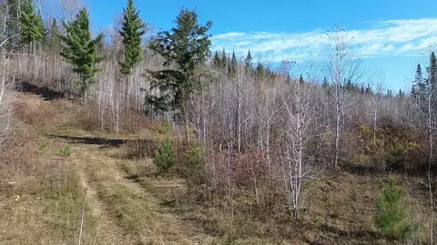 125 Nn State Highway 70, Couderay, WI 54828