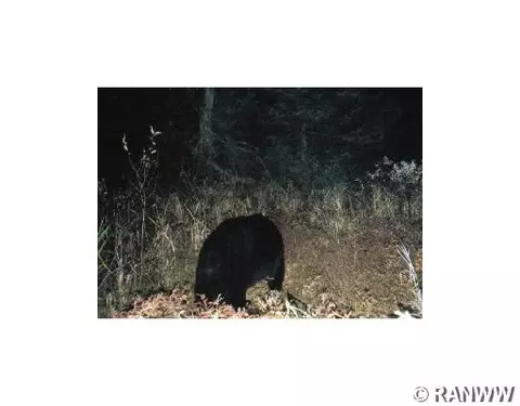 23275 Mackenberg Rd, Glidden, WI 54527 photo 8