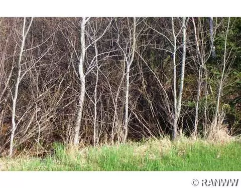 w2270 Pelican Lane, Springbrook, WI 54875 photo 6