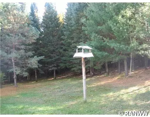 1019 Devine Ave, Bruce, WI 54819 photo 9