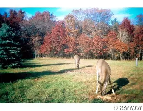 2228 8th Ave, Chetek, WI 54728 photo 7