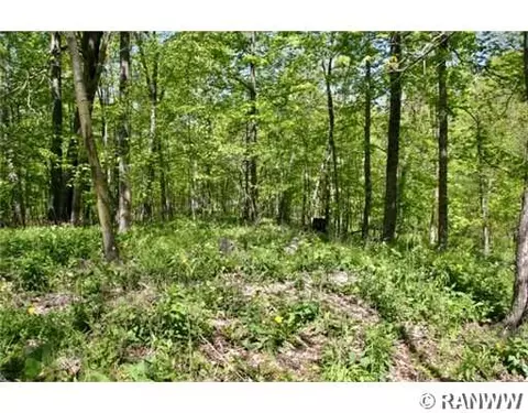 697 270th Ave, Frederic, WI 54837 photo 10