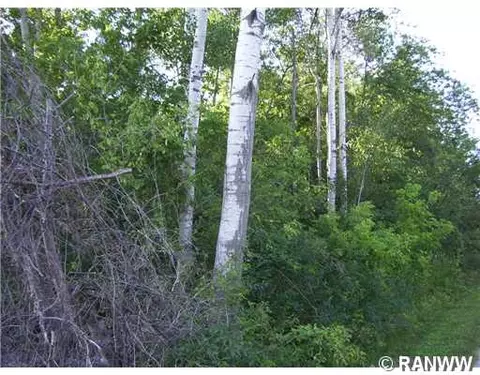 309 S Clark St, Boyd, WI 54726 photo 7