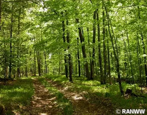 44690 W Cable Lake Rd, Cable, WI 54821 photo 12