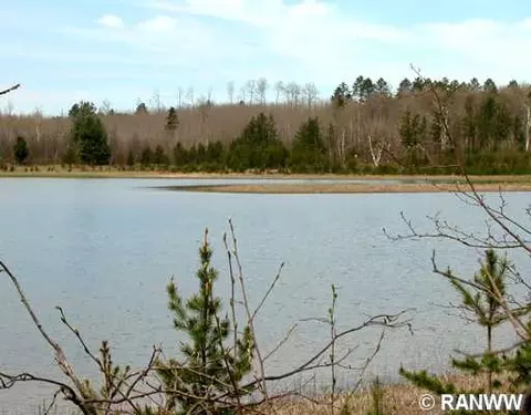 54904 Moore Rd, Barnes, WI 54873 photo 1